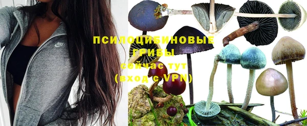 кристаллы Алзамай