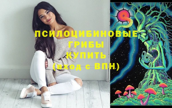 мяу мяу мука Алексеевка